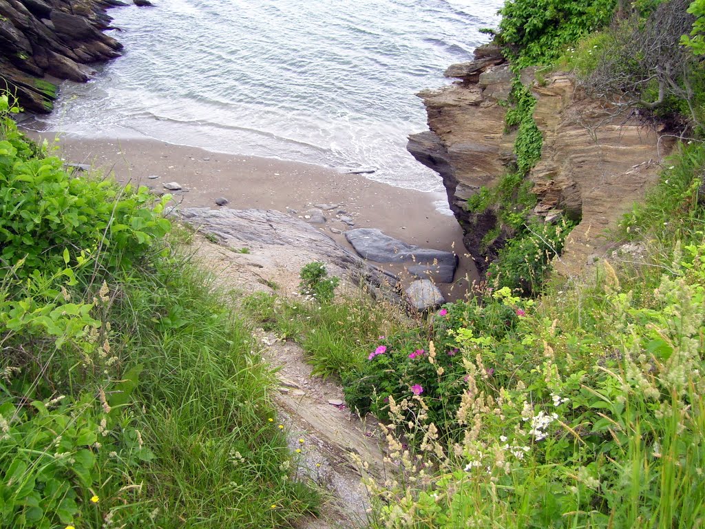 beach, Beavertail State Park, Beavertail Rd, Jamestown, RI 02835