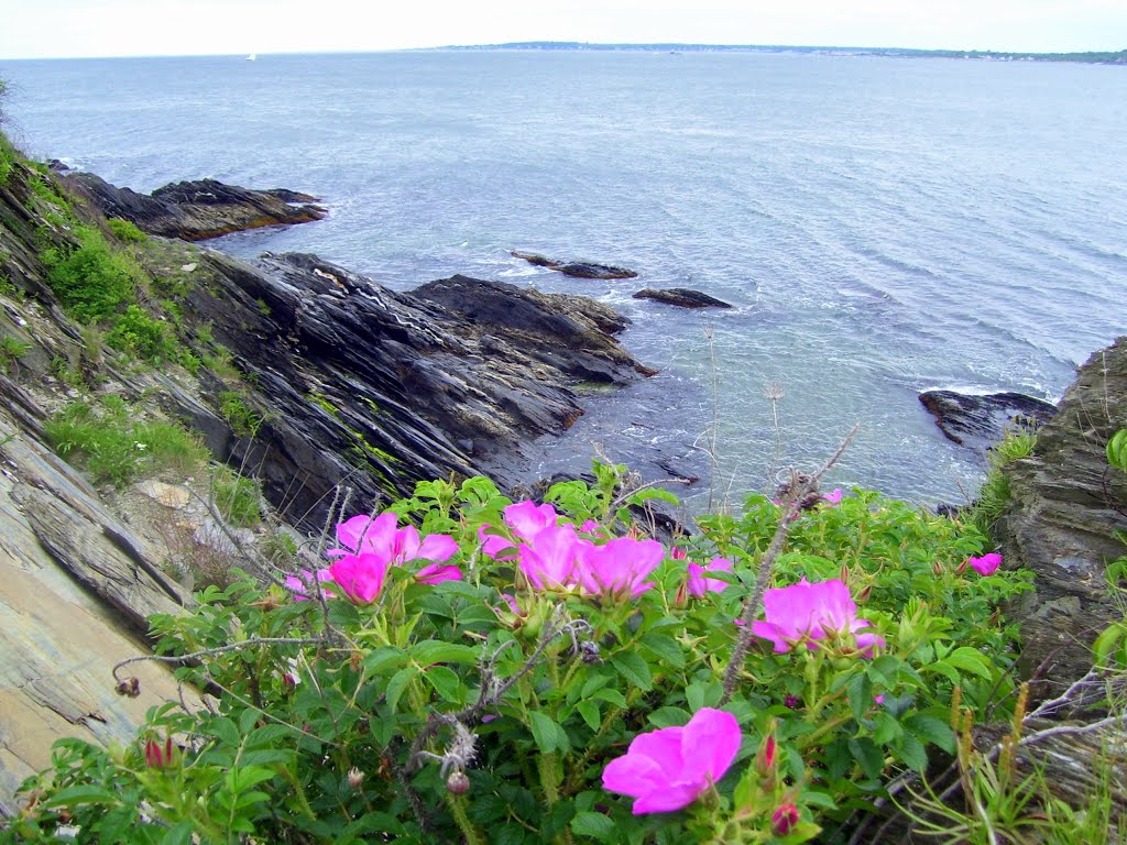 view of Narragansett Bay, Beavertail State Park, Beavertail Rd, Jamestown, RI 02835