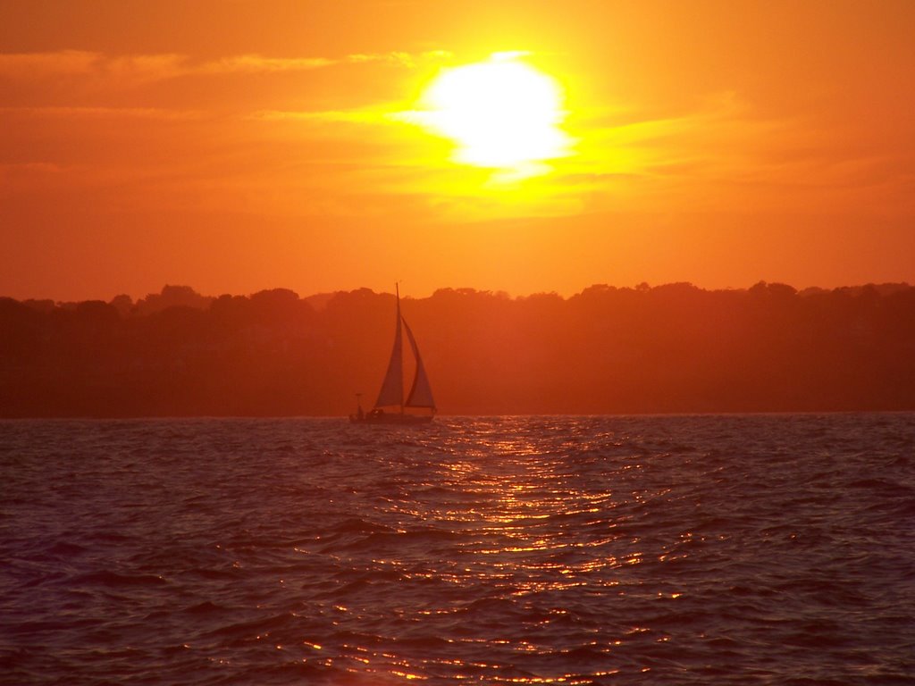 sailing sunset