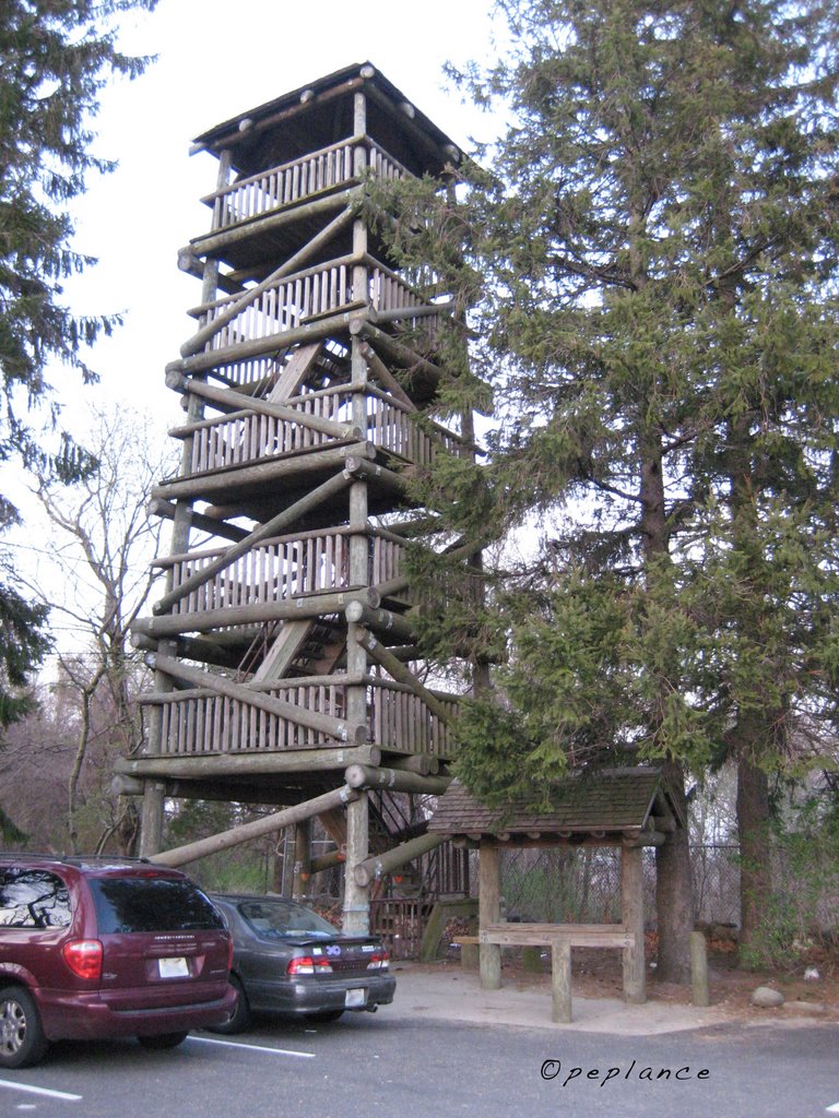 The Tower