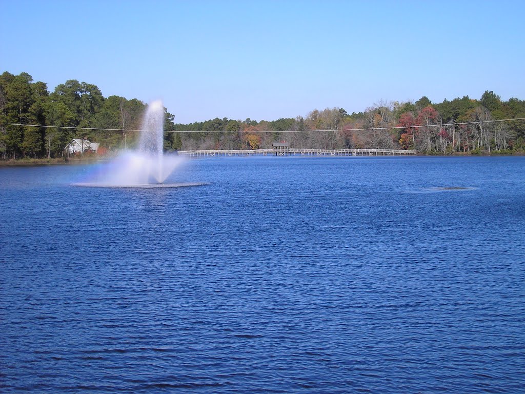 Aberdeen (Pages Lake) fall view---st
