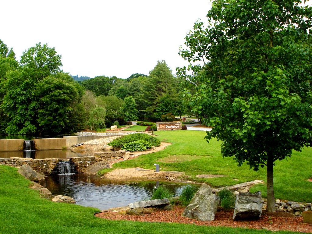 Deerwood