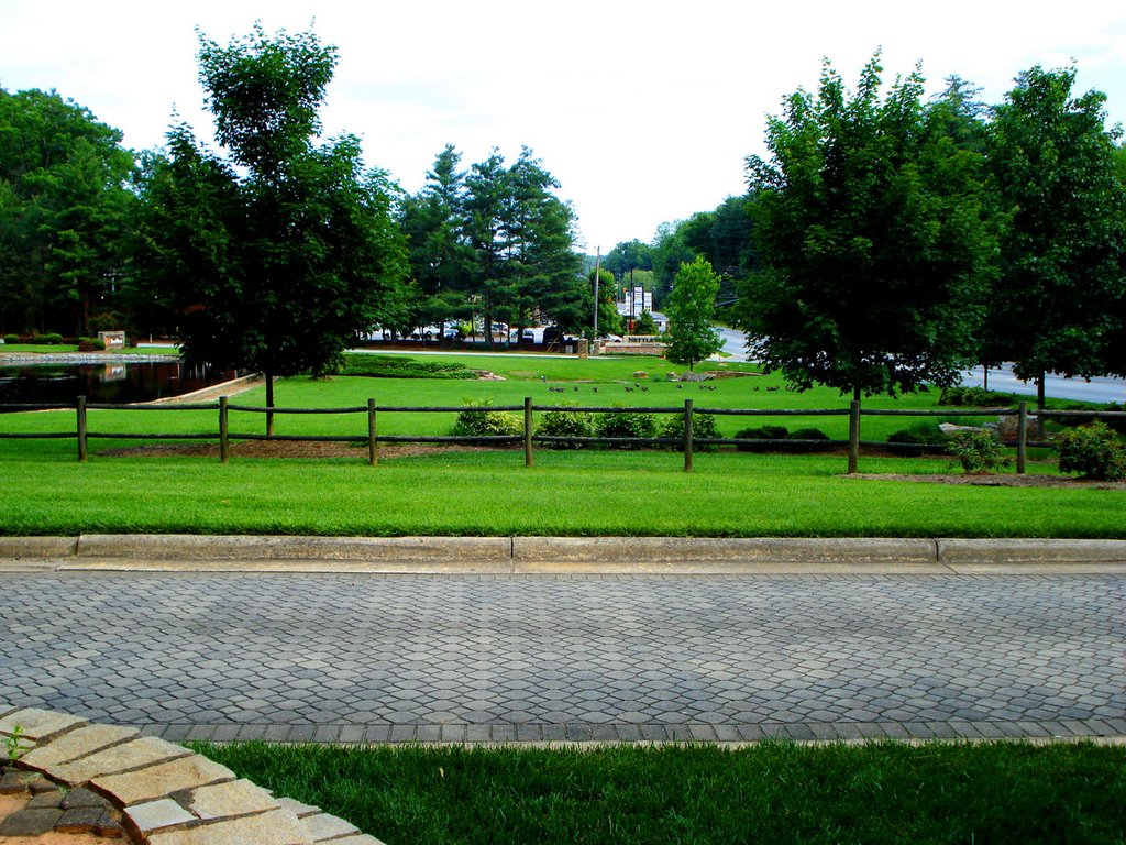 Nettlewood