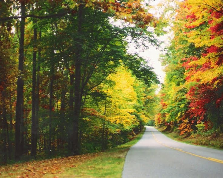 Autumn along the Blue Ridge Parkway