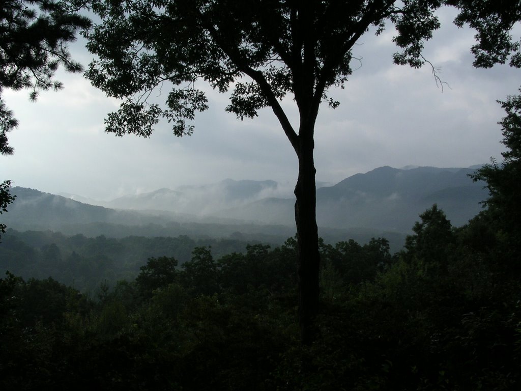 Rest And Be Thankful (our mtn house view)
