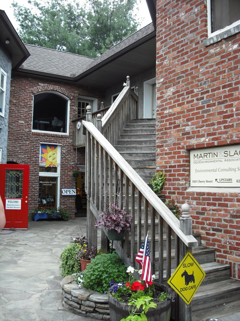 the stairs