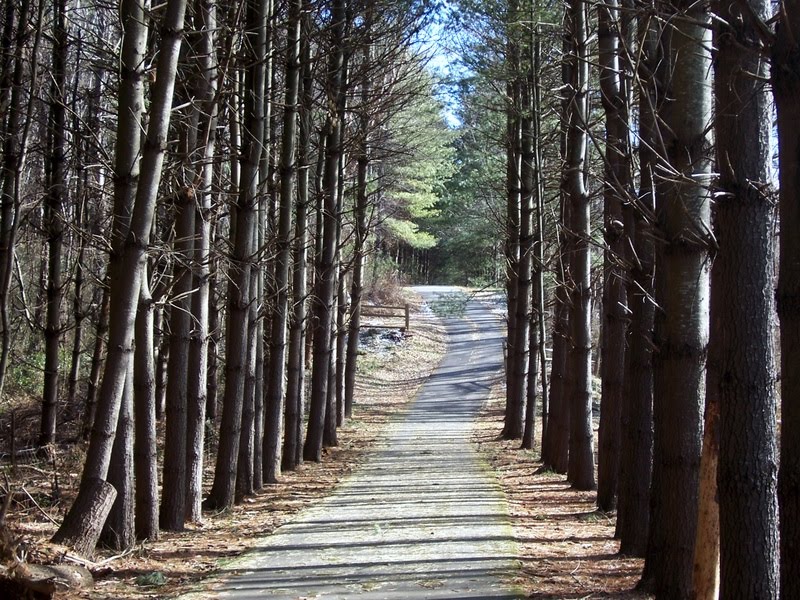 The Oaks Trail