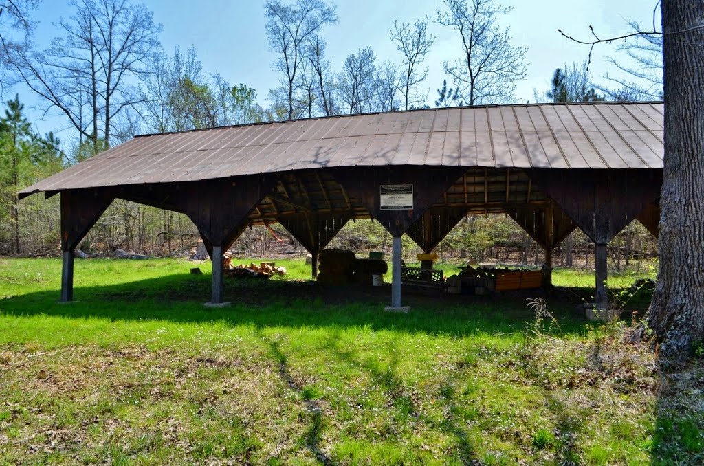 Section 23 Campsite