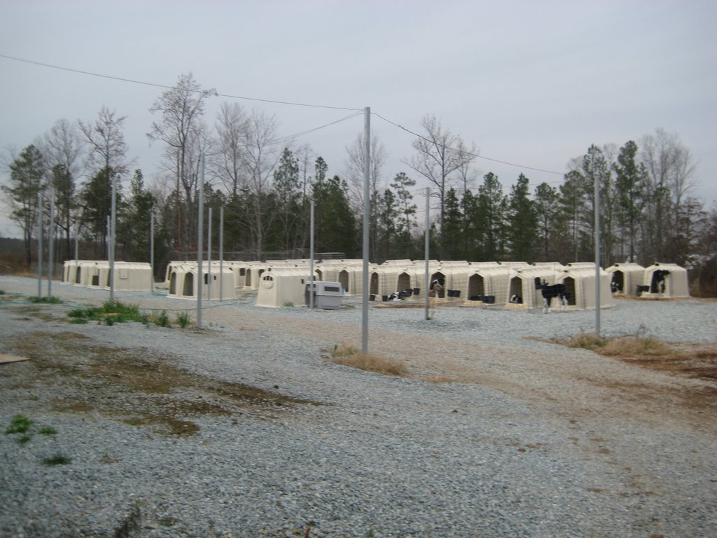 West Raleigh