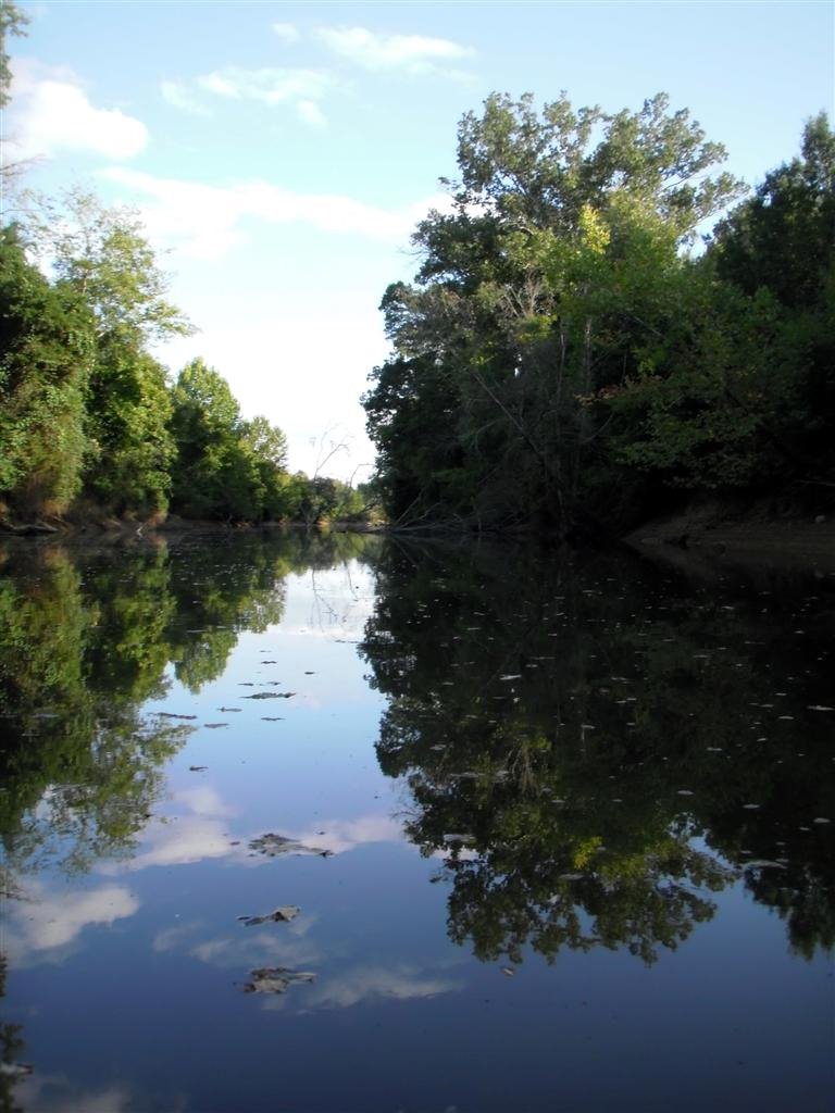 Flat River Reflections