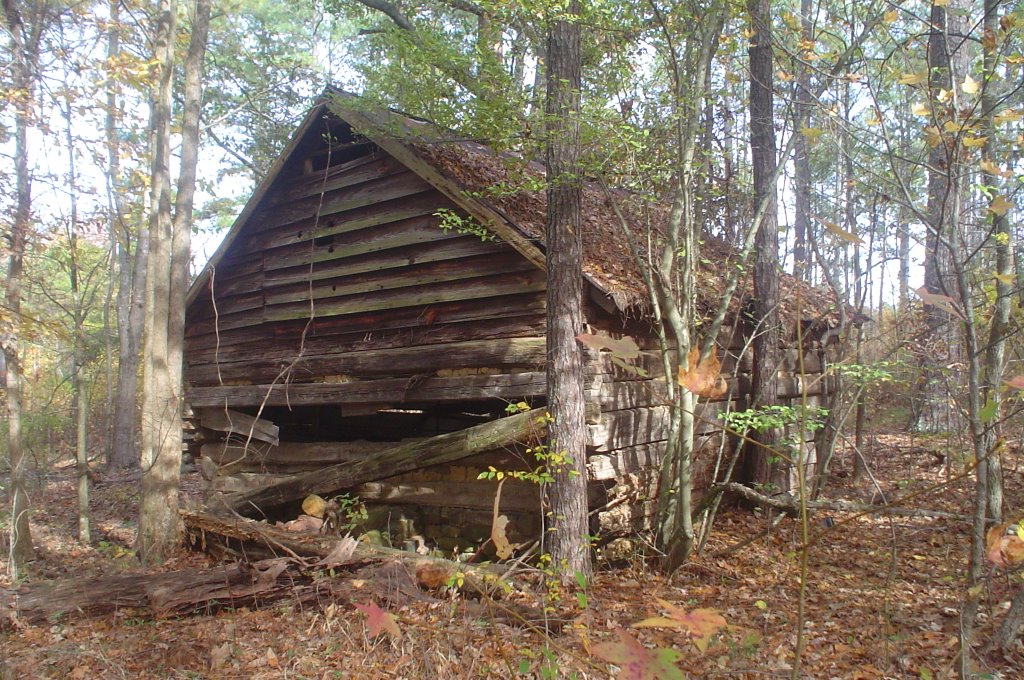 Old log shed