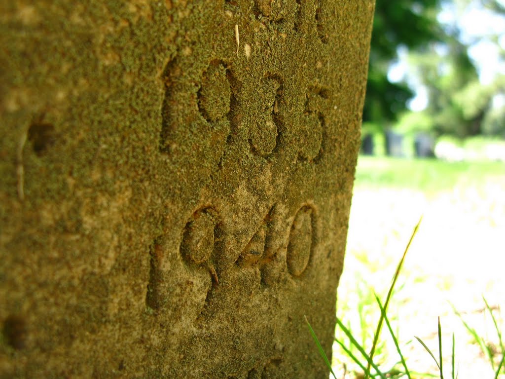 Gravestone with moss
