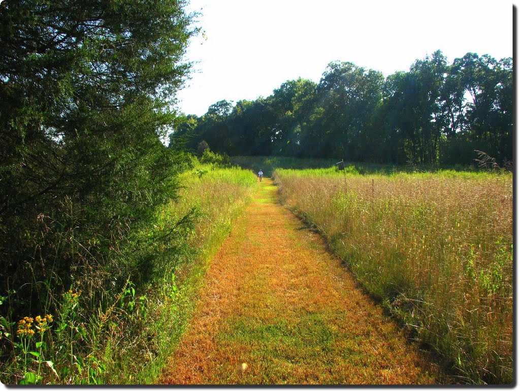 Pennys Bend pasture in September