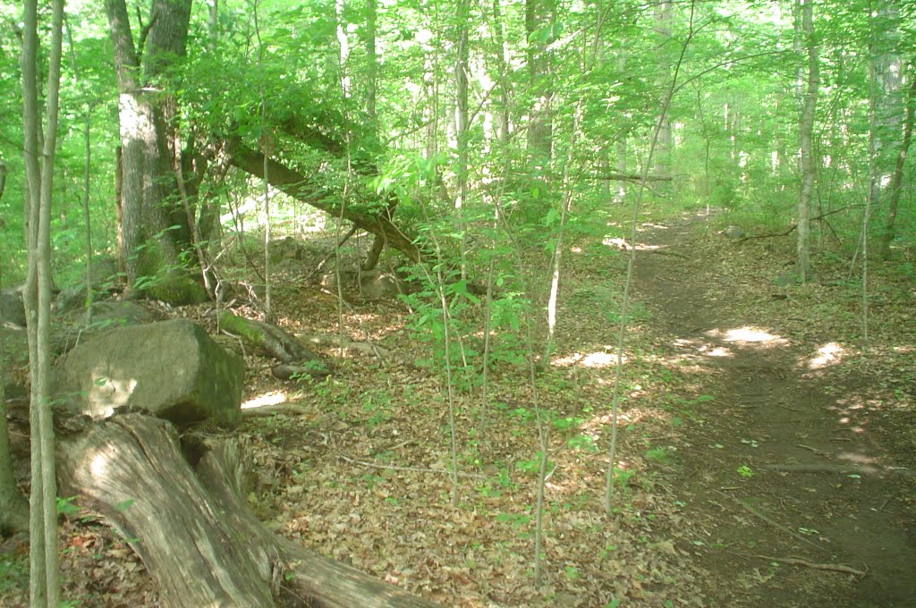 Trail and boulders in Rock Quarry Park
