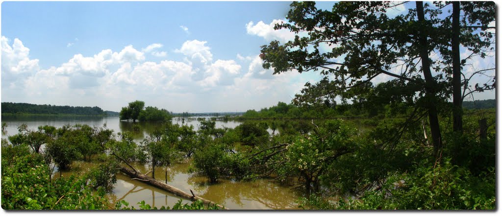 Falls Lake from the old railway footings