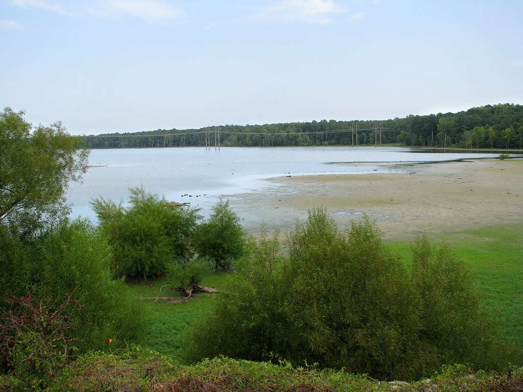 Ellerbe Creek RR Grade, East View, Mudflats at Falls Lake