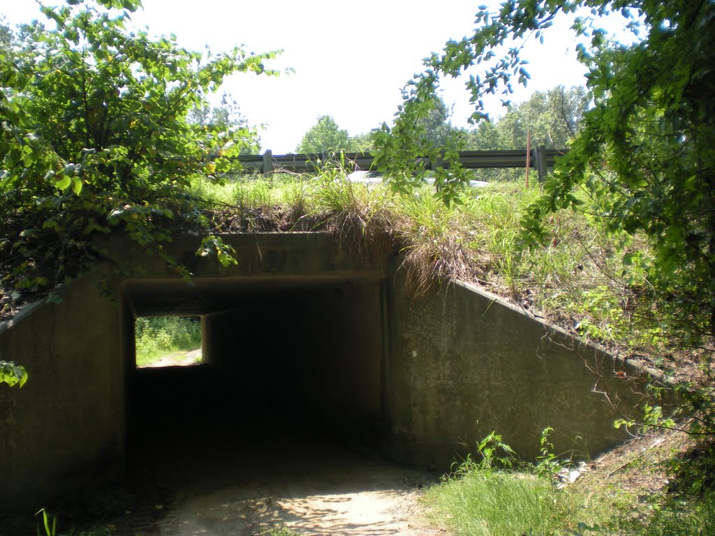 Mountains to Sea trail under I-85