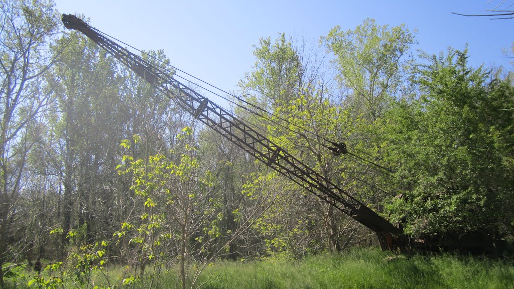 The Old Crane