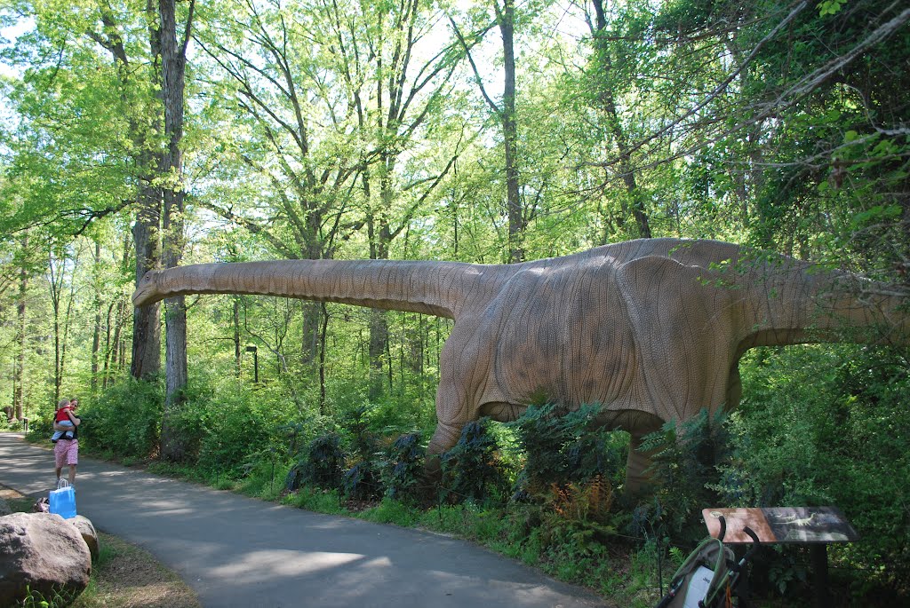 dino