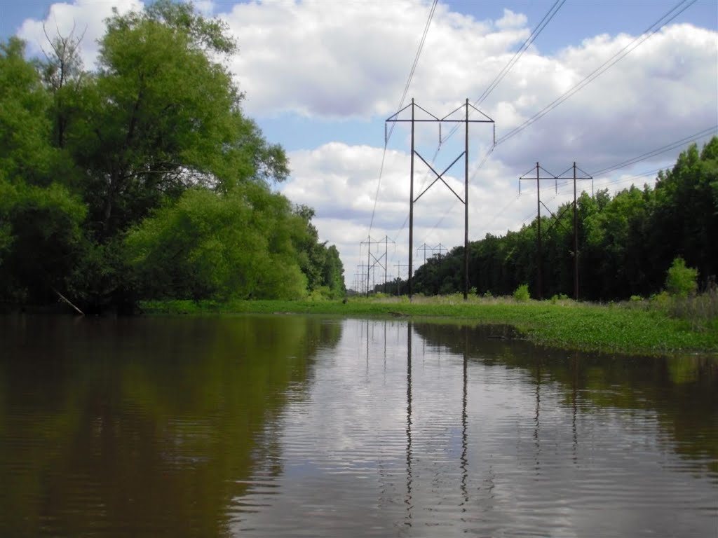 Paddling under the wires