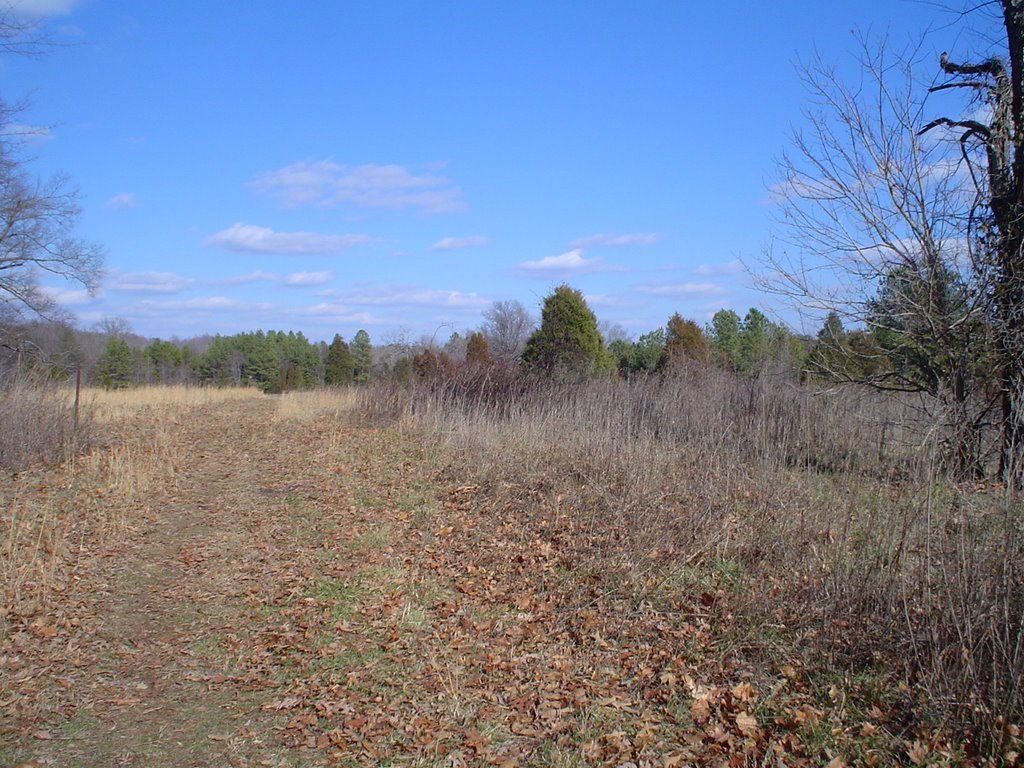 Pasture at Pennys Bend