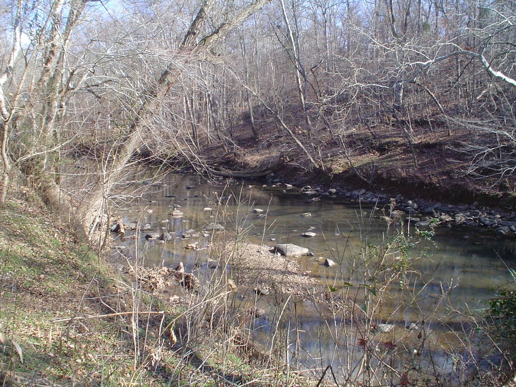Eno River at Pennys Bend