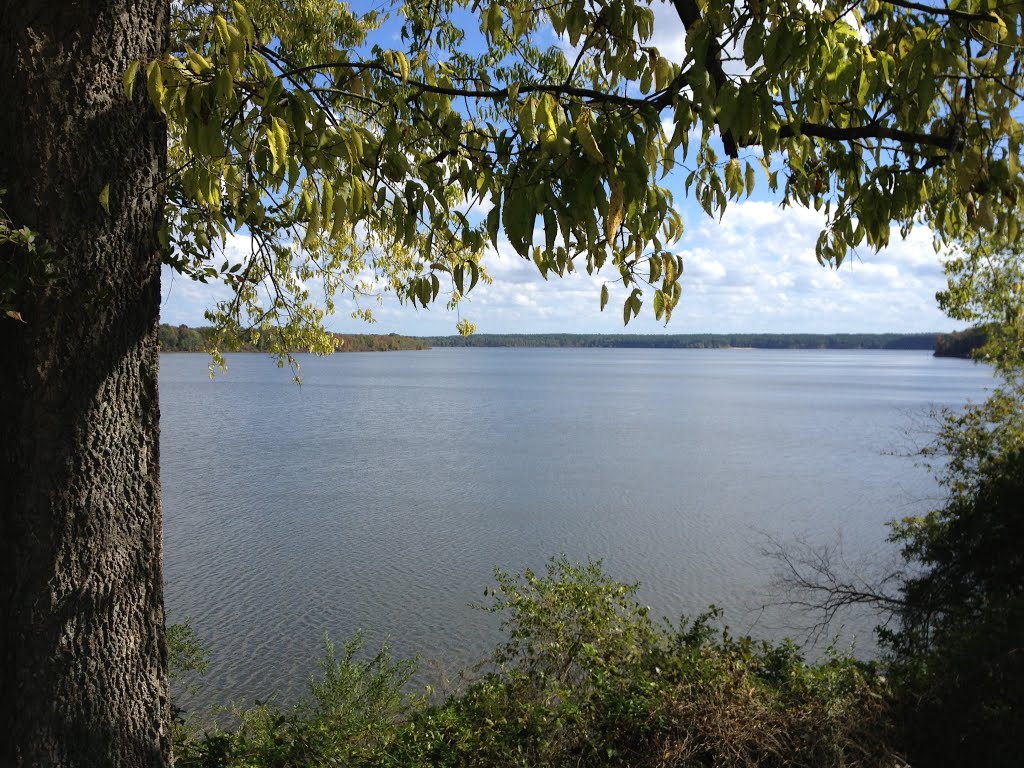 Falls Lake along Mountains to Sea Trail