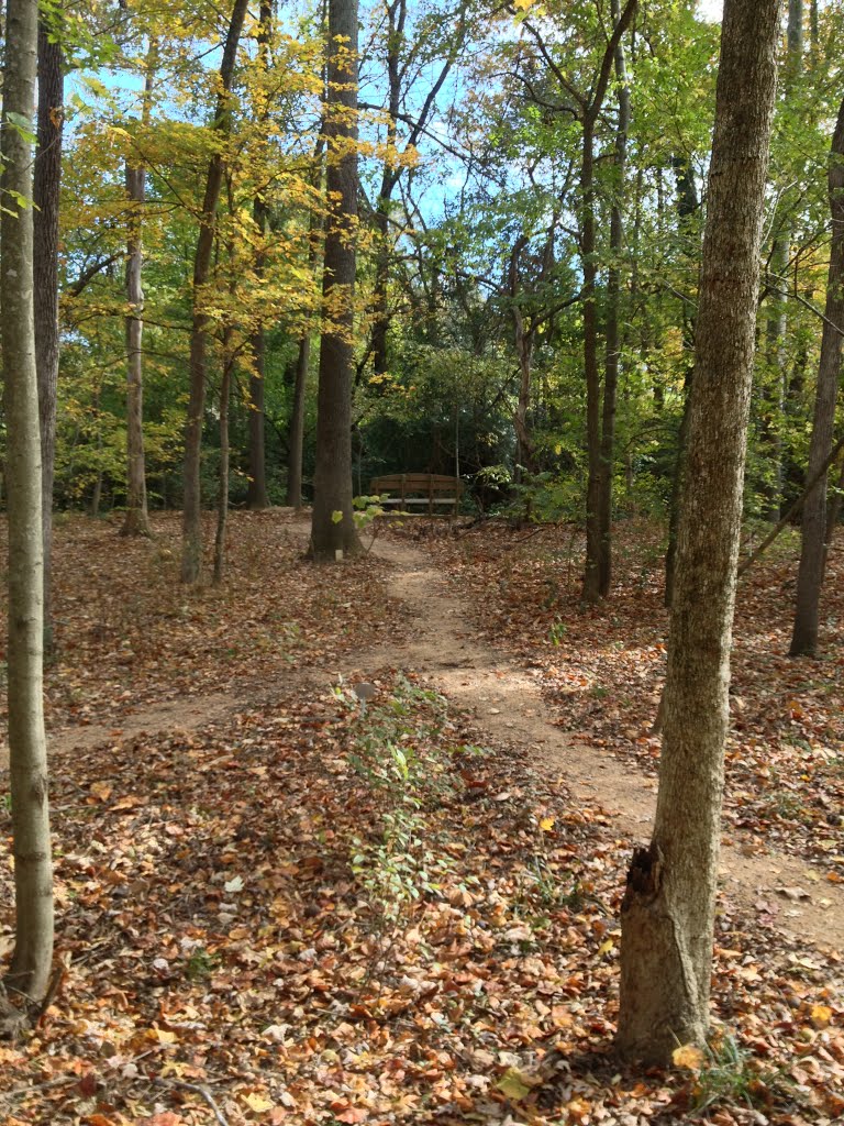 Pearl Mill Preserve