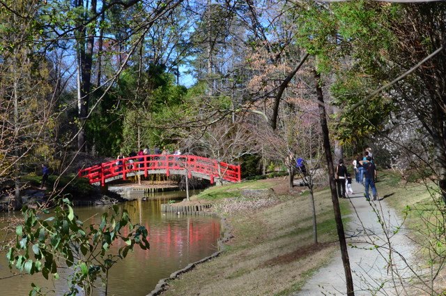 Japanese Garden