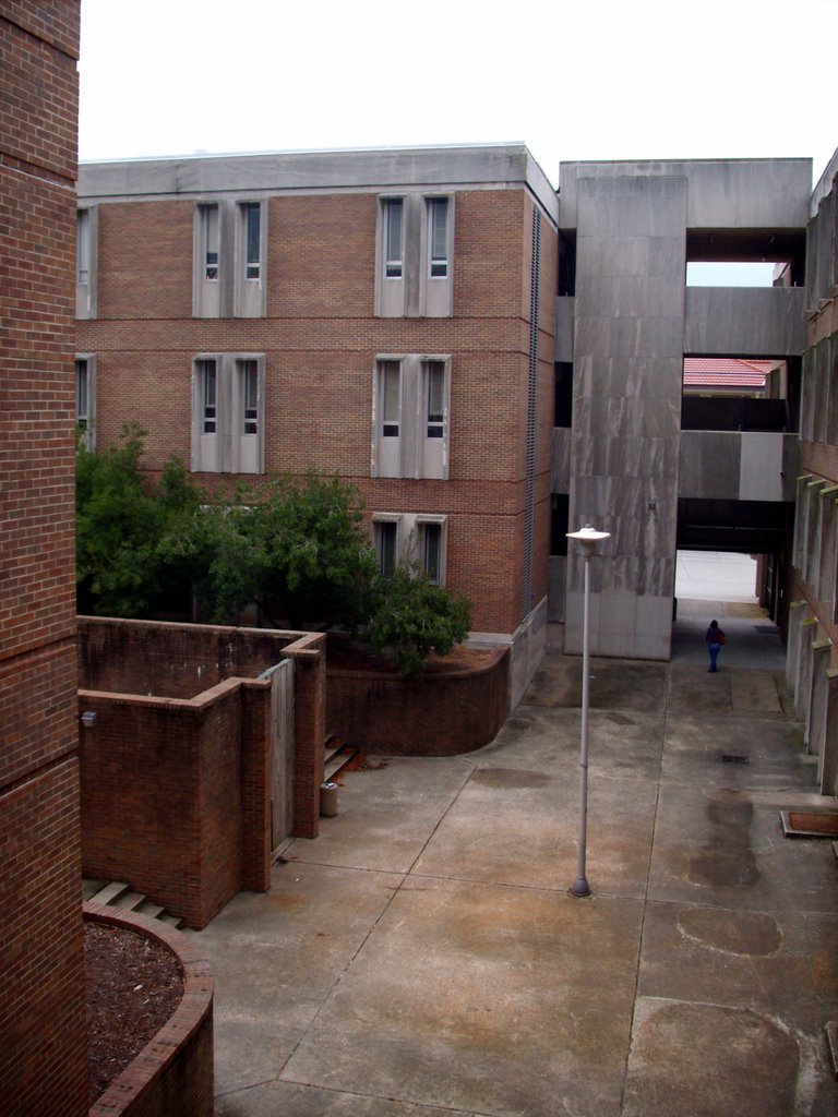 Rainy Days at East Carolina
