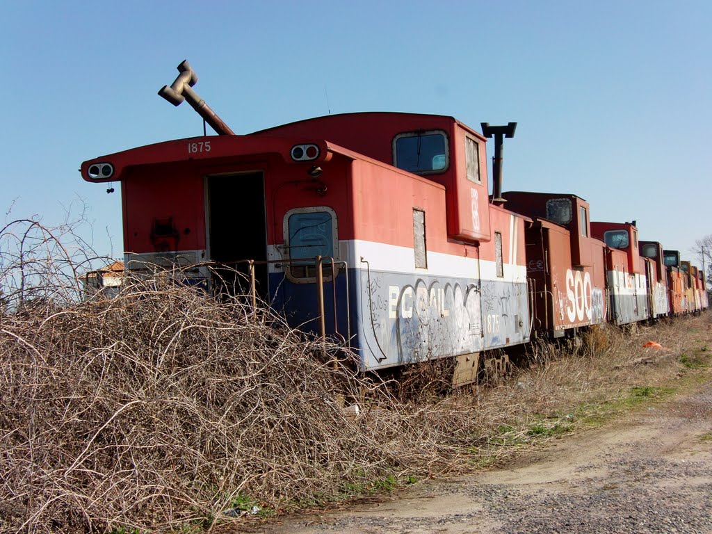 Line of cabooses