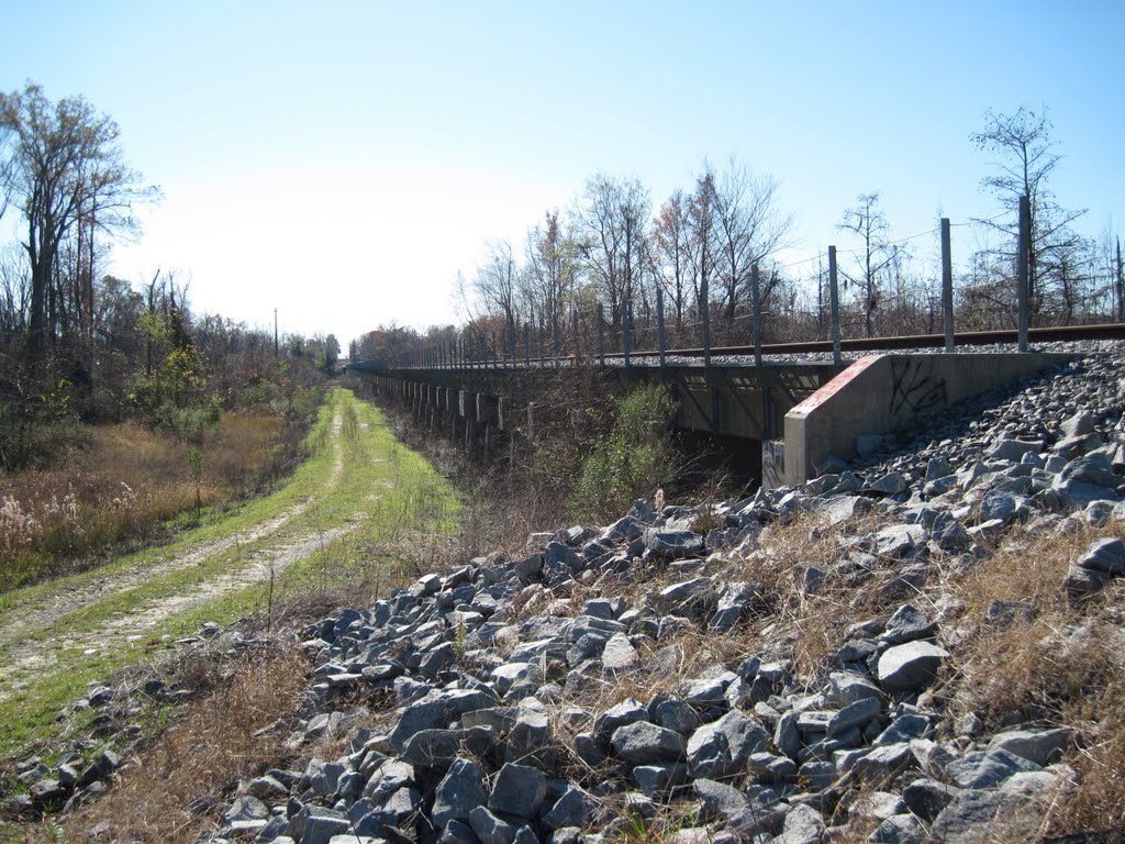 CSX Trestle