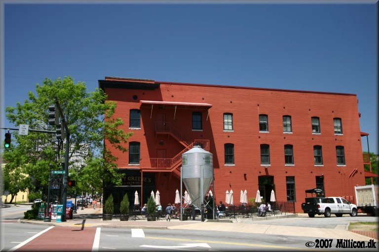 Natty Greenes