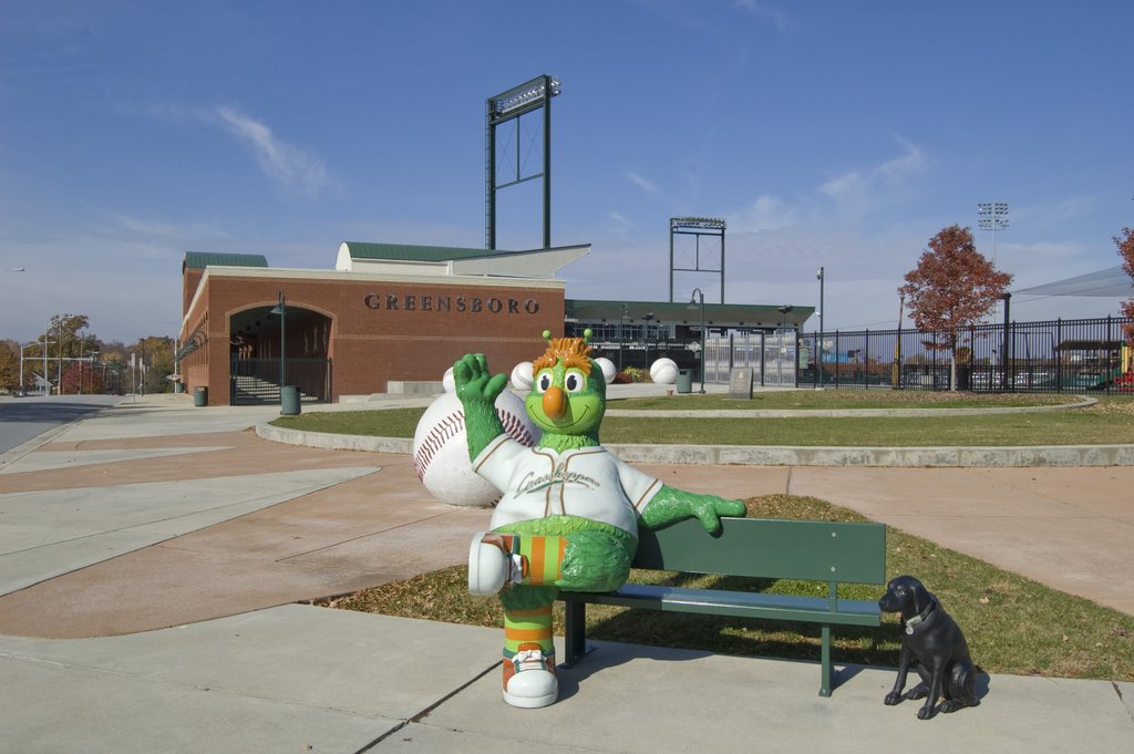 NewBridge Bank Park