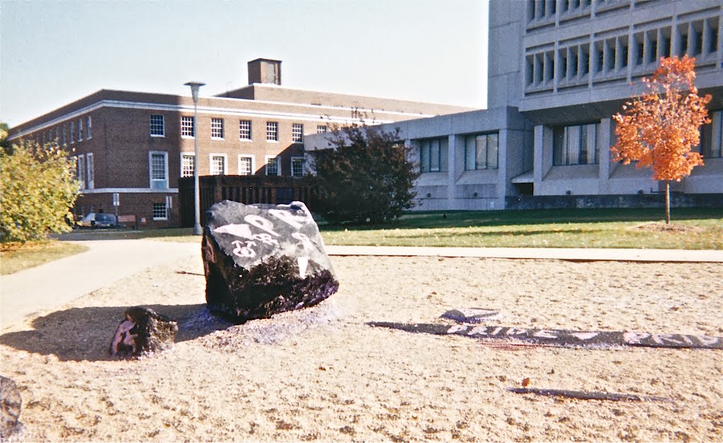 free expression rock