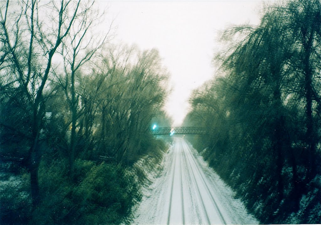 frozen tracks