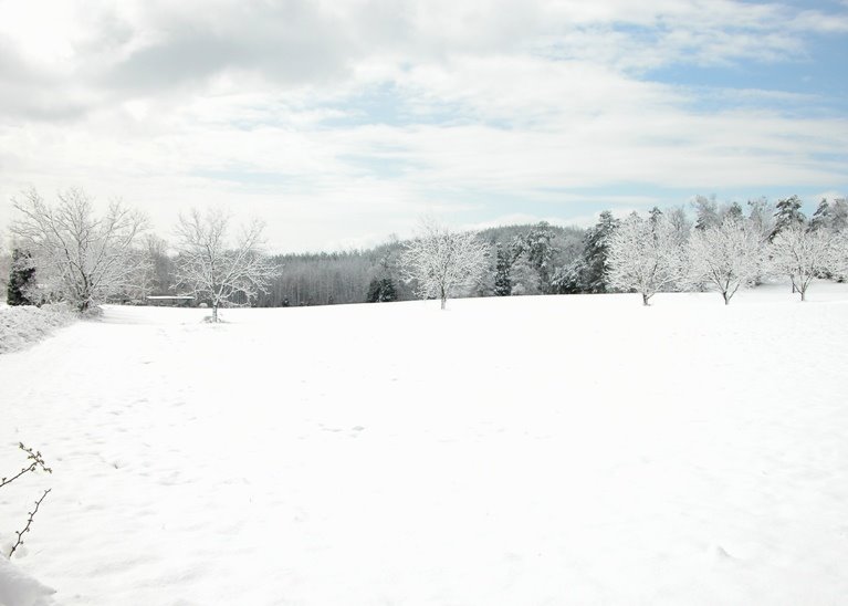 Uwharries in Winter Wonderland