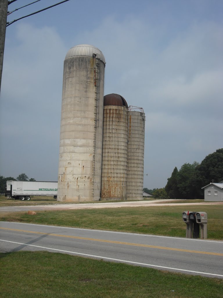 the towers