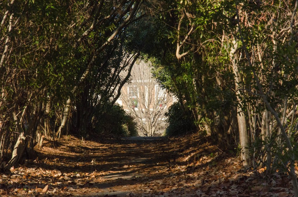 Tunnel Ahead