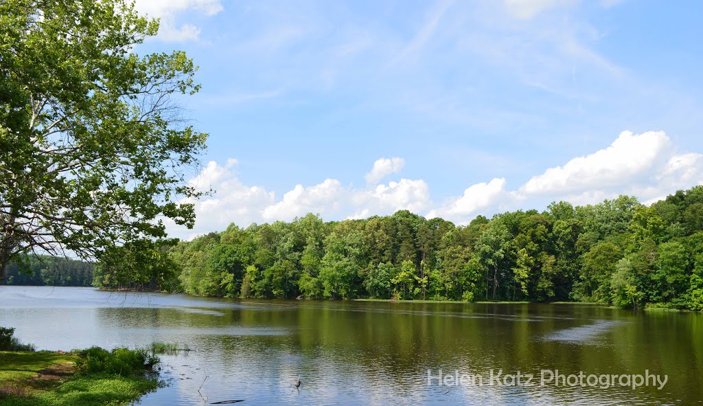 The Lake