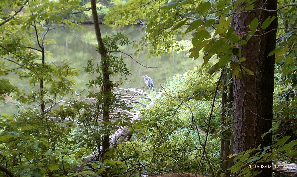 Our local Environmental Center in Jamestown - pic from my hike