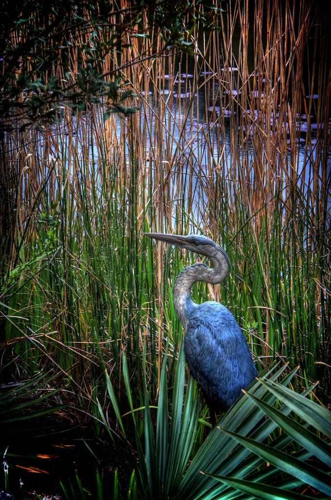 Heron in the Wetlands