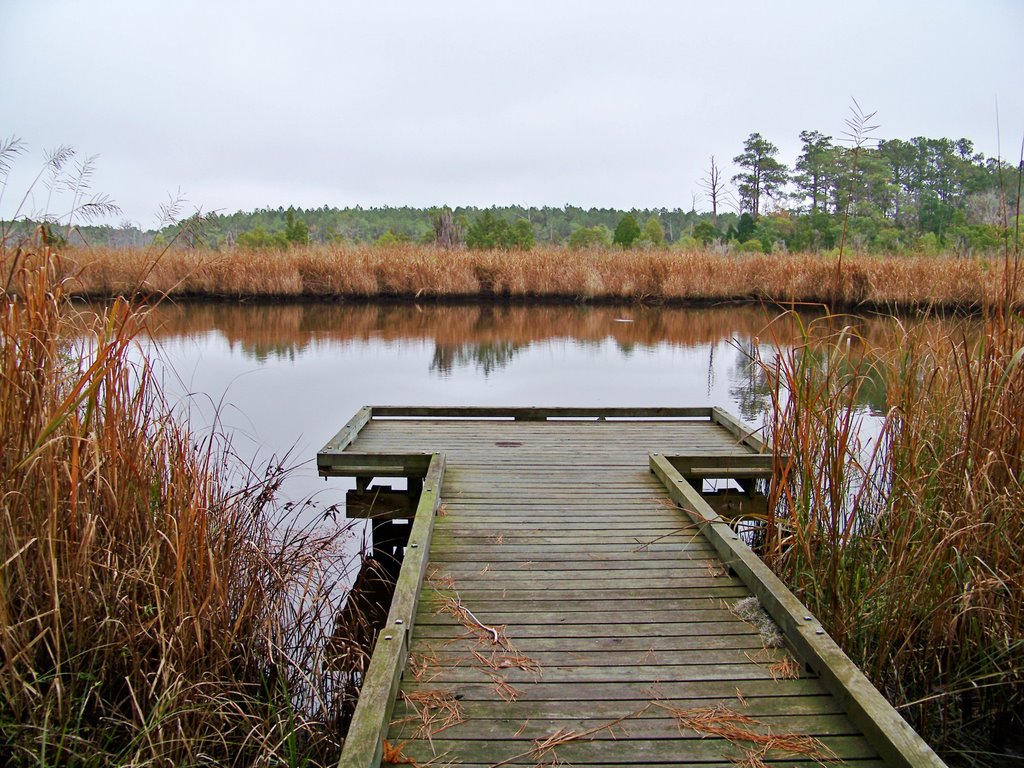 Mallard Creek Trail & River Overlook