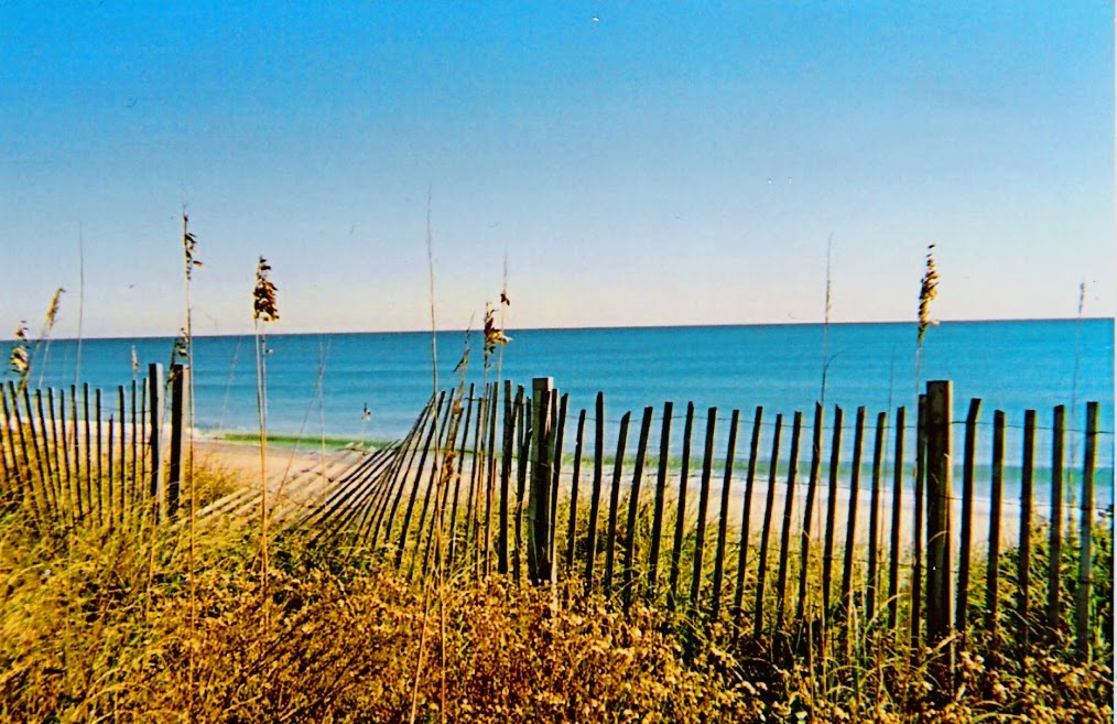 Broken Fence by the Sea