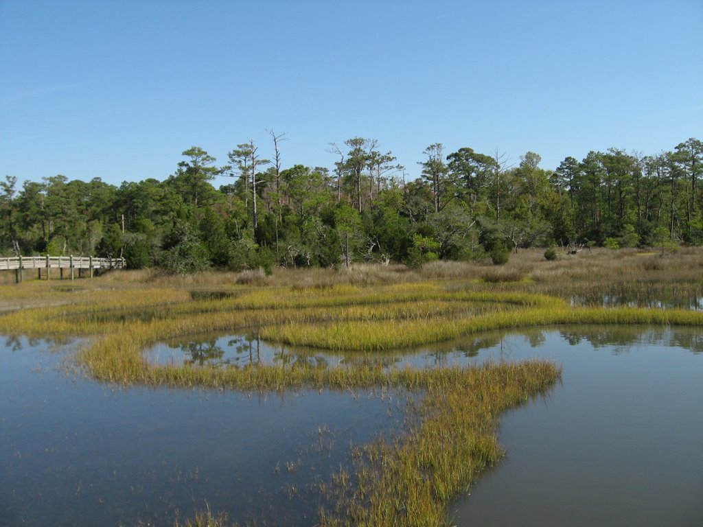 Cedar Point Tidal Trail Croatan National Forest