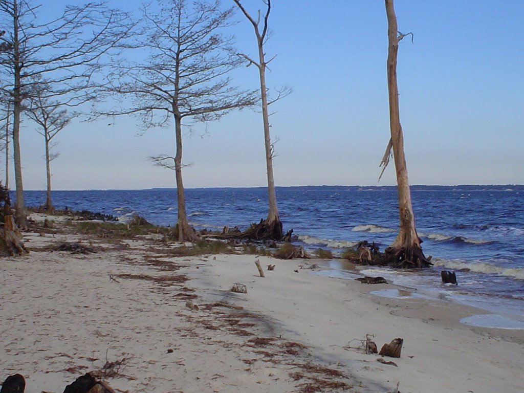 Havelock