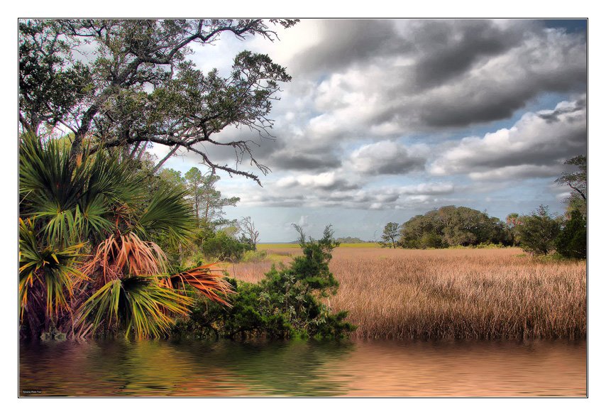Bald Head Island