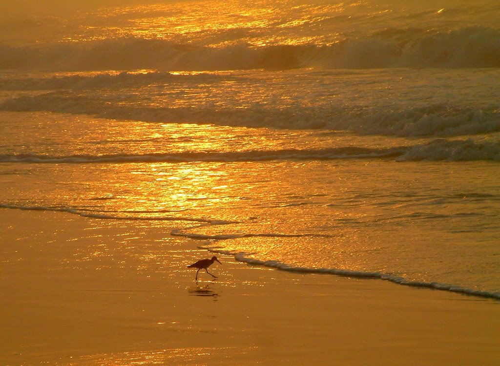 Topsail Beach, NC
