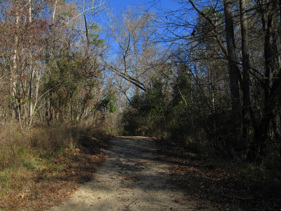 Trail