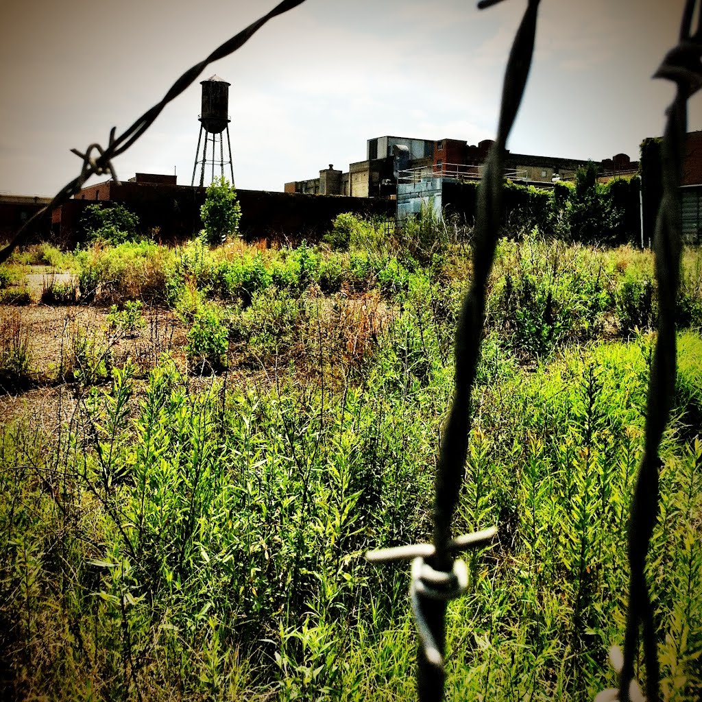 The old Doran Mill